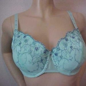 DELTA BURKE Full Coverage PADDED Bra NEW 40D